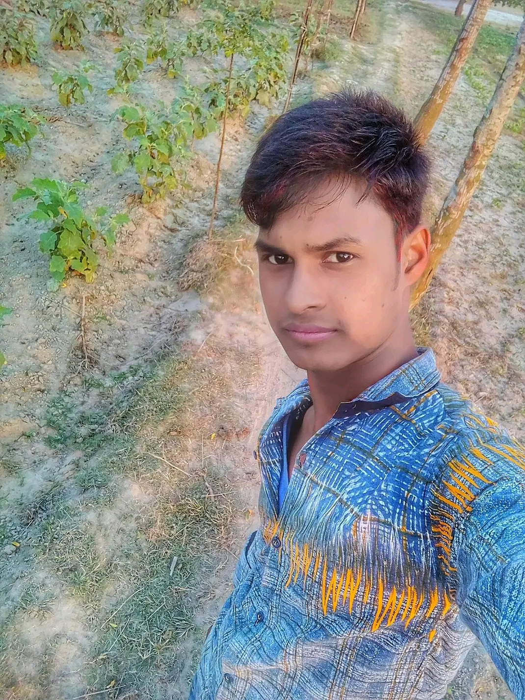 Post Image